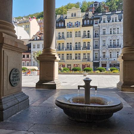 Ferienwohnung Ubytovani Ester - Utulny Byt V Lazenskem Centru Karlovych Varu Se Zahradkou Karlsbad Exterior foto