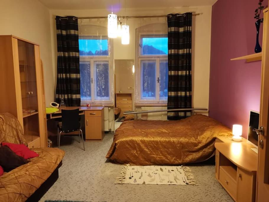 Ferienwohnung Ubytovani Ester - Utulny Byt V Lazenskem Centru Karlovych Varu Se Zahradkou Karlsbad Exterior foto