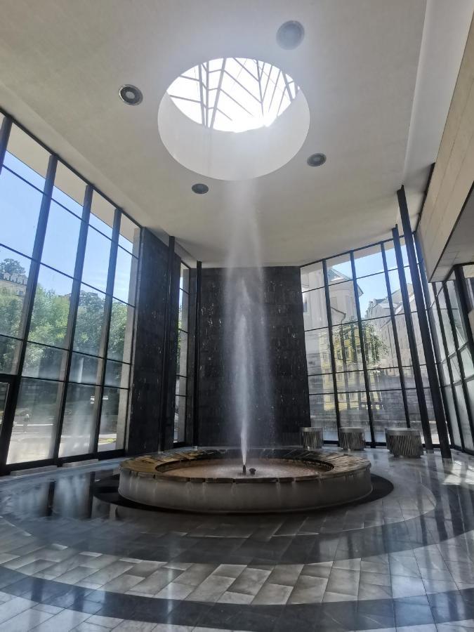 Ferienwohnung Ubytovani Ester - Utulny Byt V Lazenskem Centru Karlovych Varu Se Zahradkou Karlsbad Exterior foto
