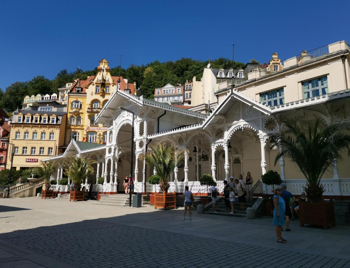 Ferienwohnung Ubytovani Ester - Utulny Byt V Lazenskem Centru Karlovych Varu Se Zahradkou Karlsbad Exterior foto